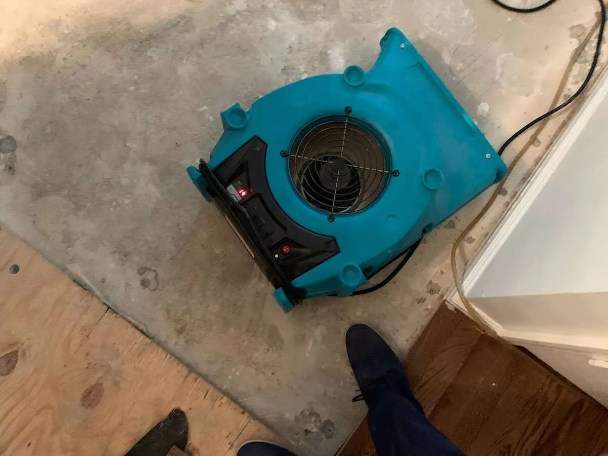 Air mover drying subfloor during Leak Detection & Repair in Northvale